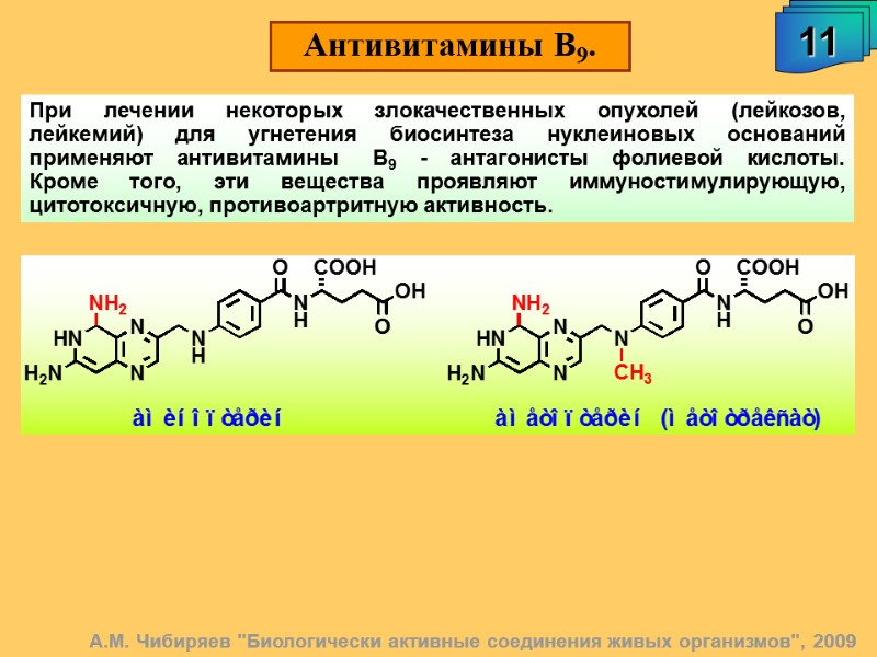 А.М. Чибиряев 